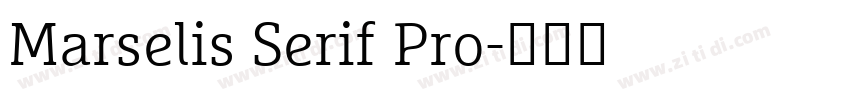 Marselis Serif Pro字体转换